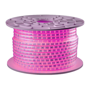 خرطوم ليد وايرلس دبل بينك 120 ليد