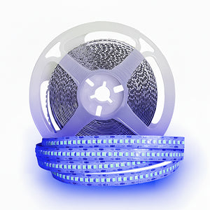 شريط ليد بروفايل 240 ليد ازرق 5 متر نحاس