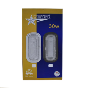 جلوب ليد 30 وات بيضاوى 3 حركه وايت ستار whitestar