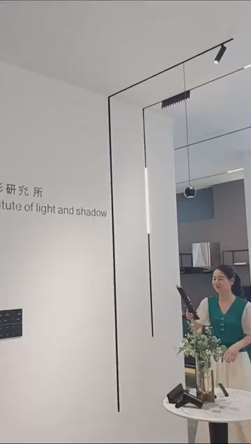 ماجنتيك ورم